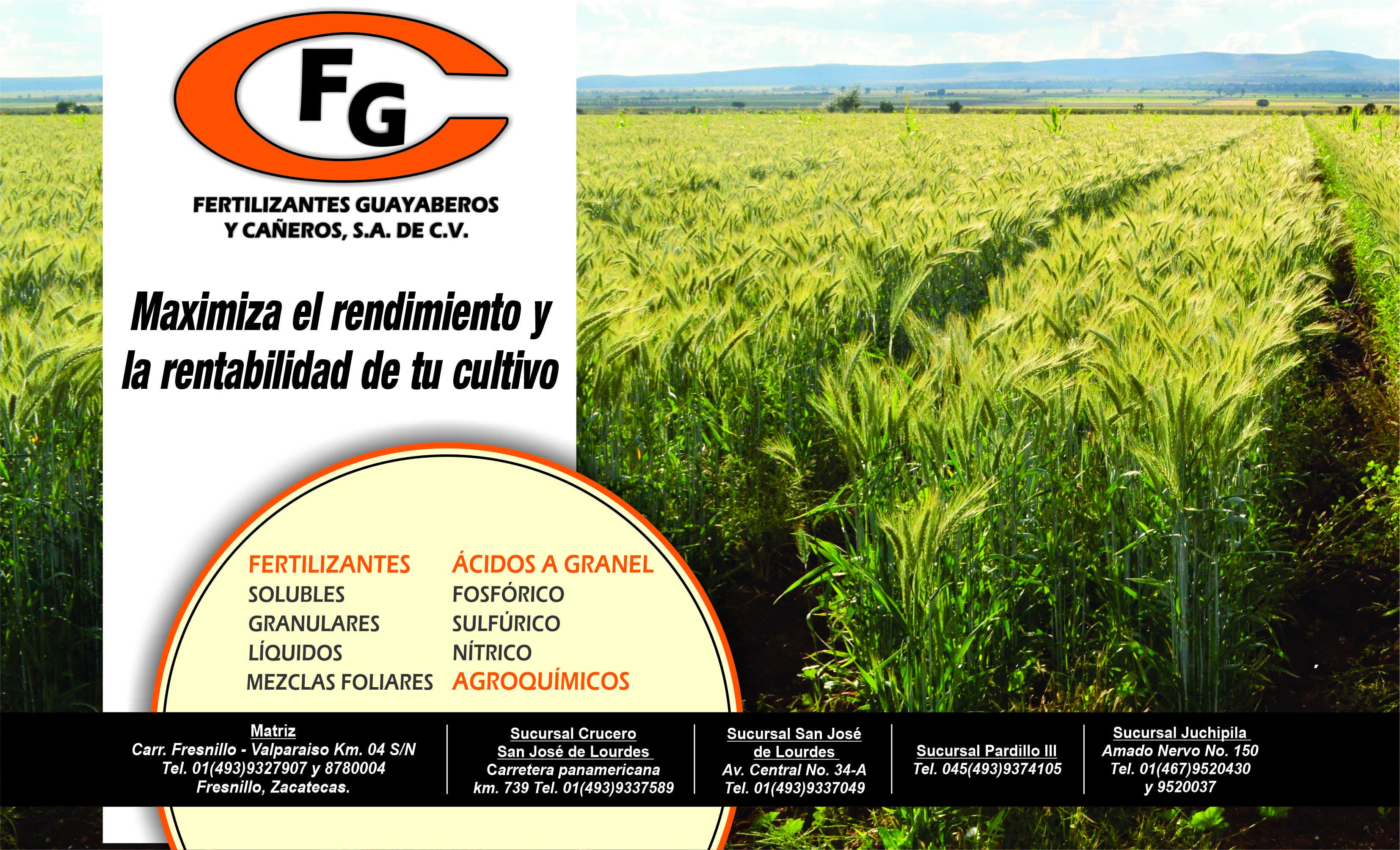 Fertilizantes Guayaberos y Cañeros, S.A. de C.V.