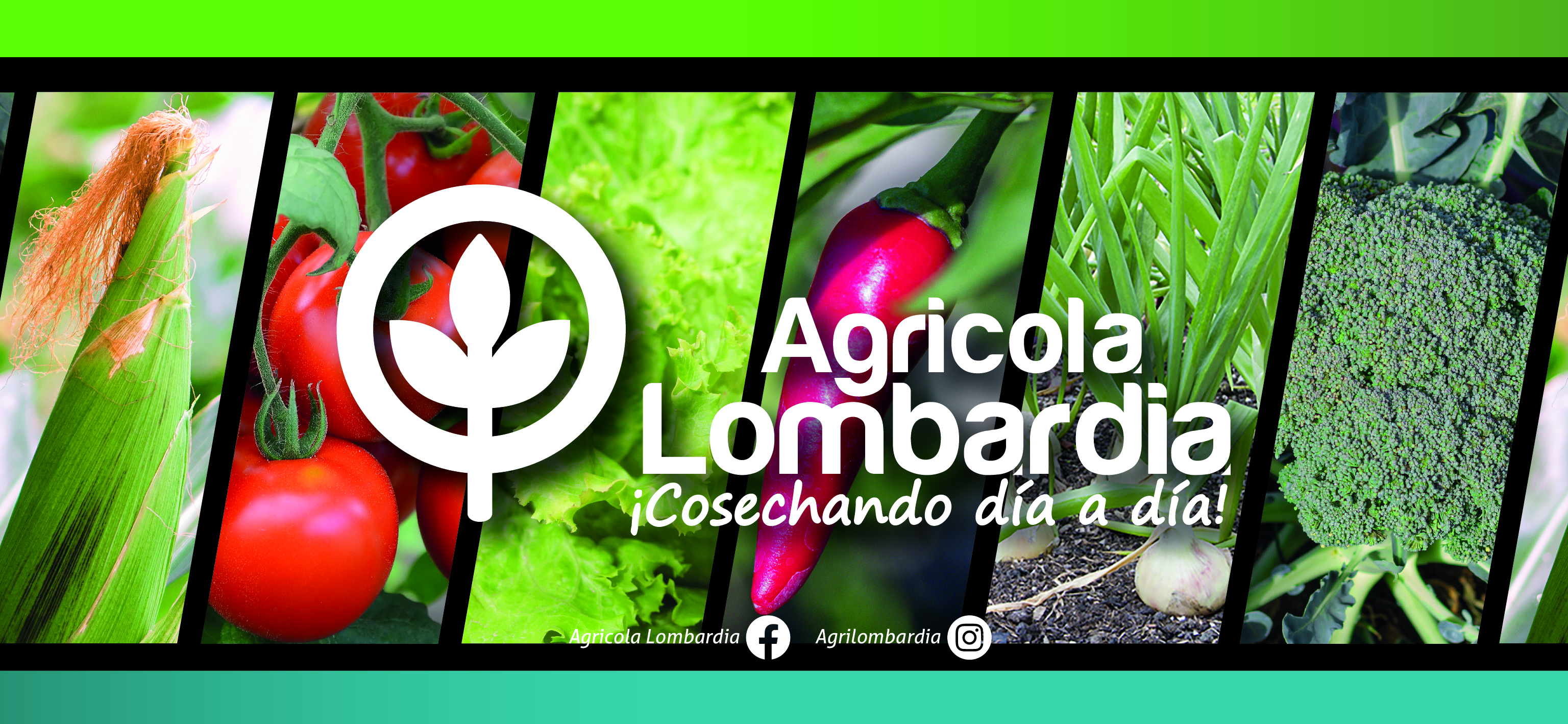 Agricola Lombardia