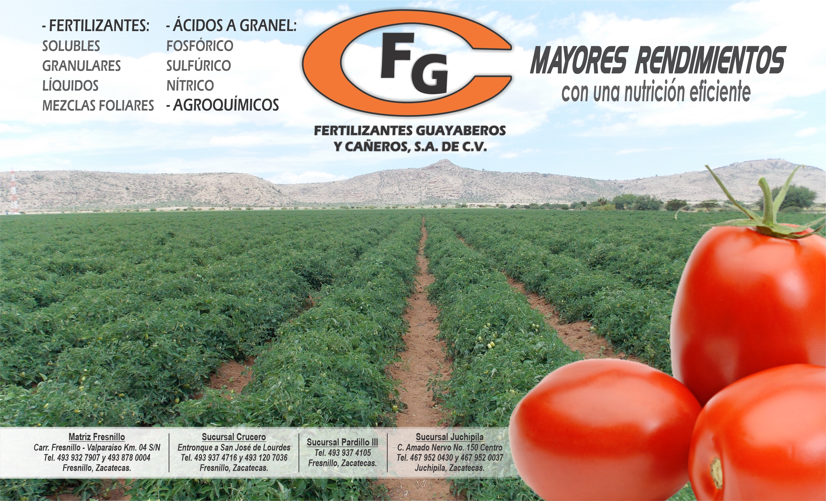 Fertilizantes Guayaberos y Cañeros, S.A. de C.V.