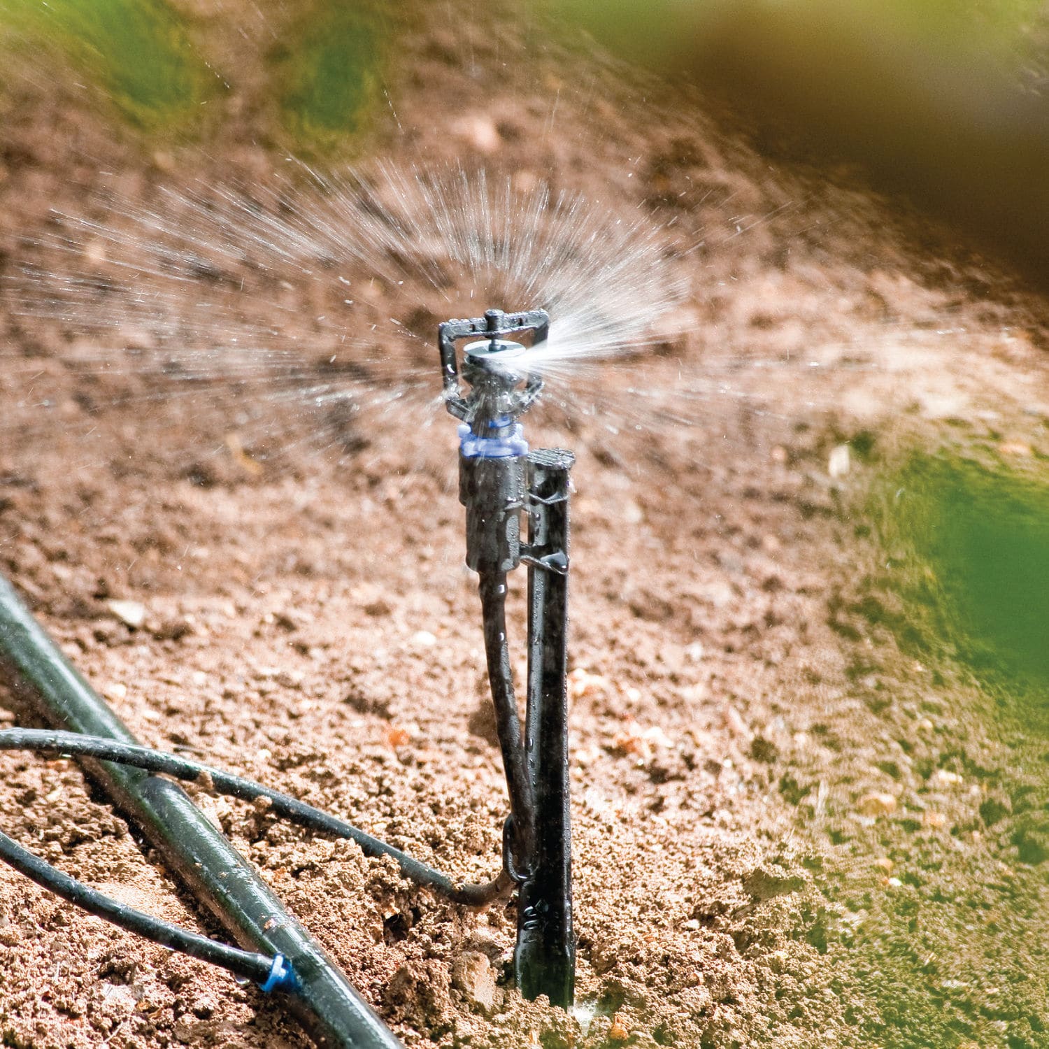 Inverted micro sprinkler