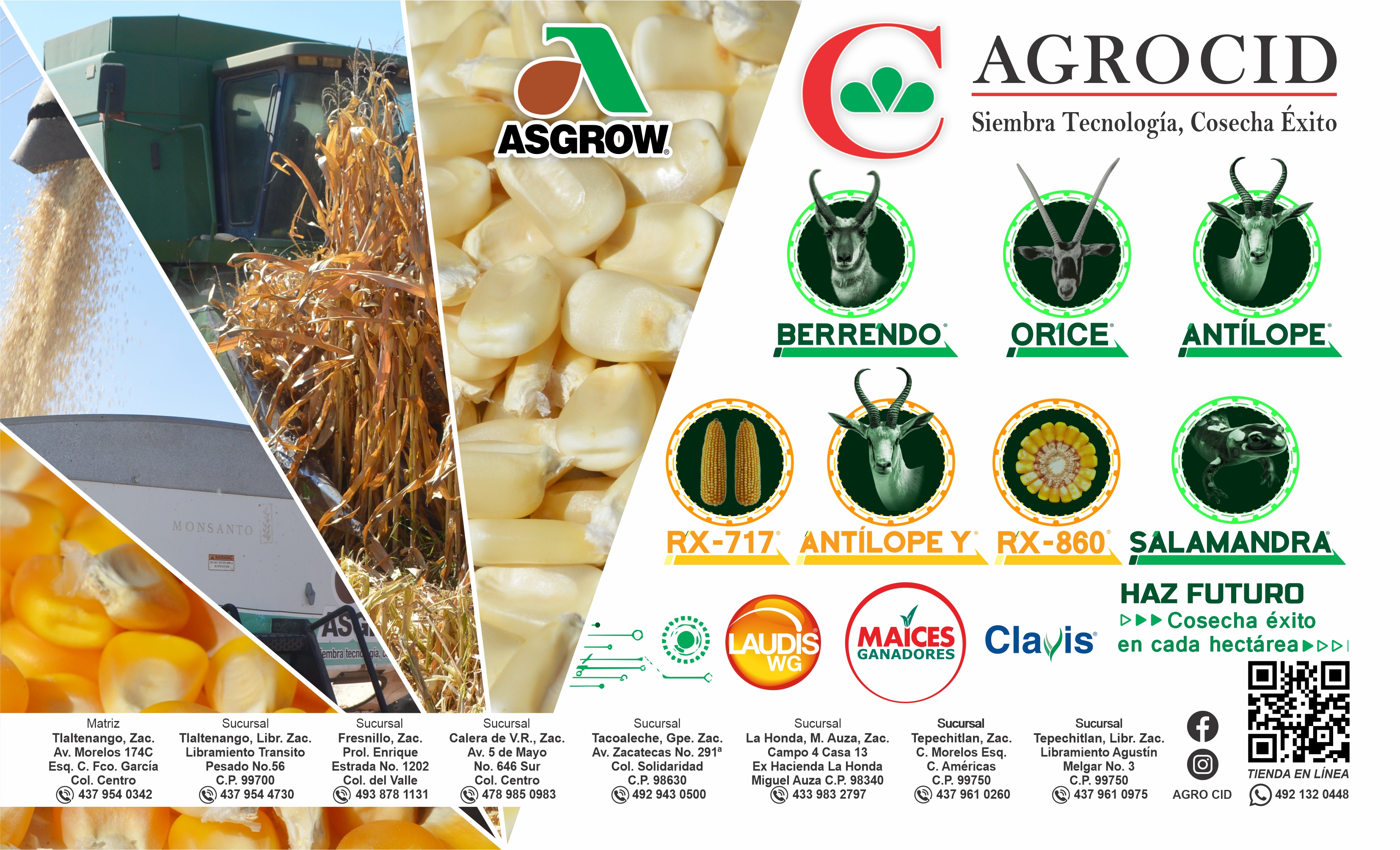 Agrocid