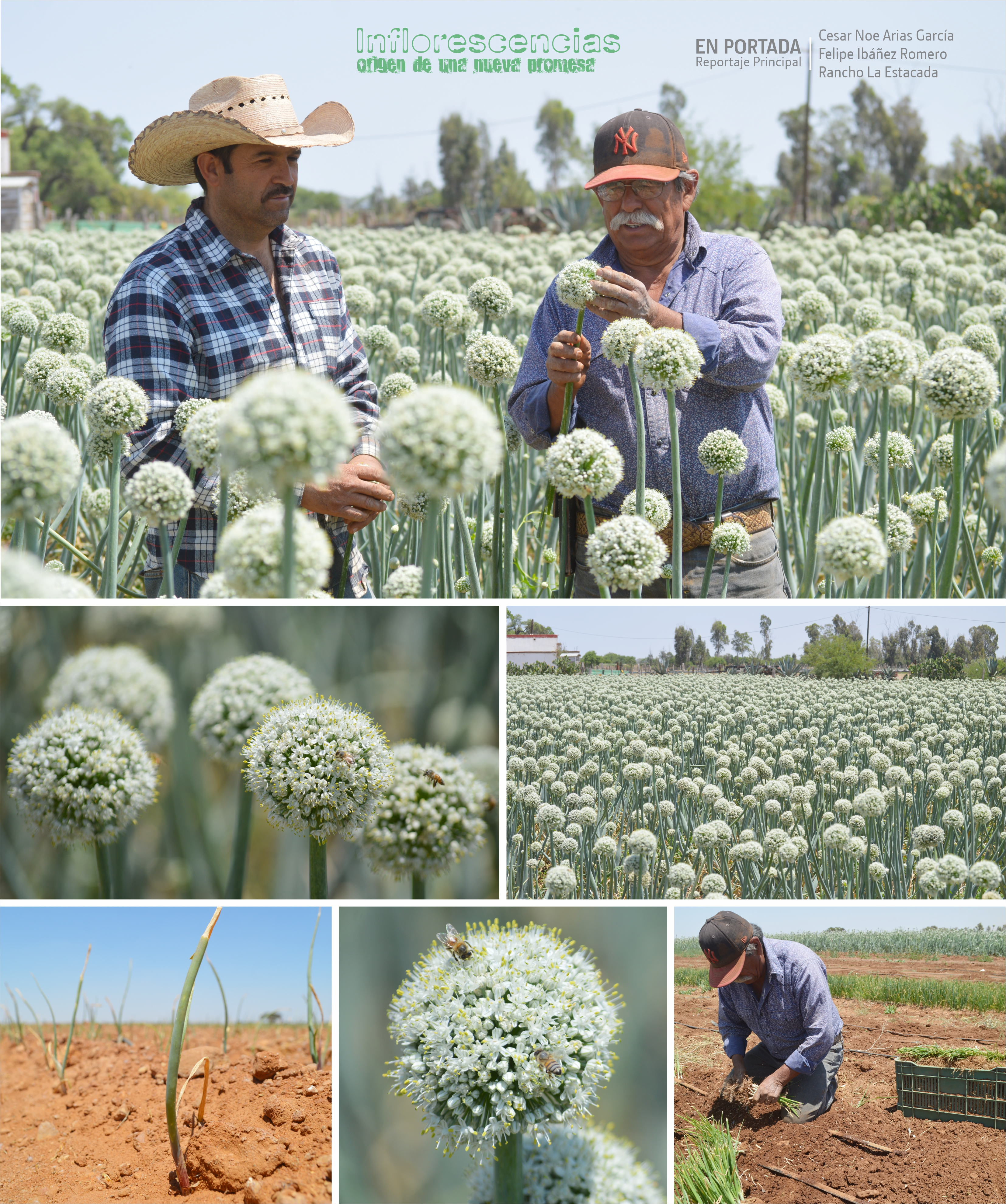 El Despertar del Campo