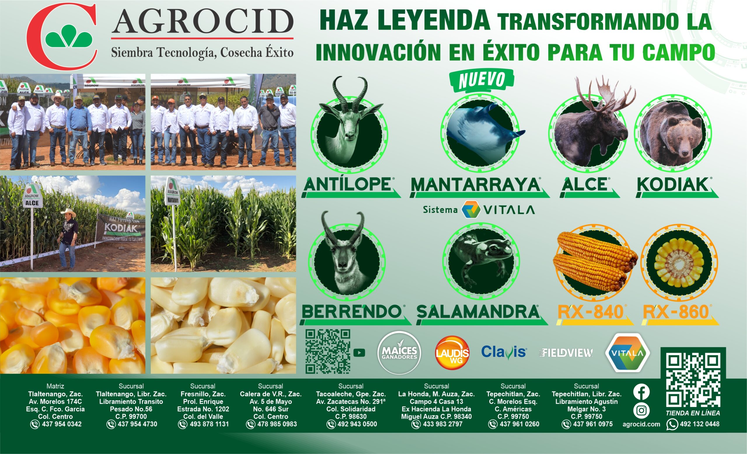 Agrocid