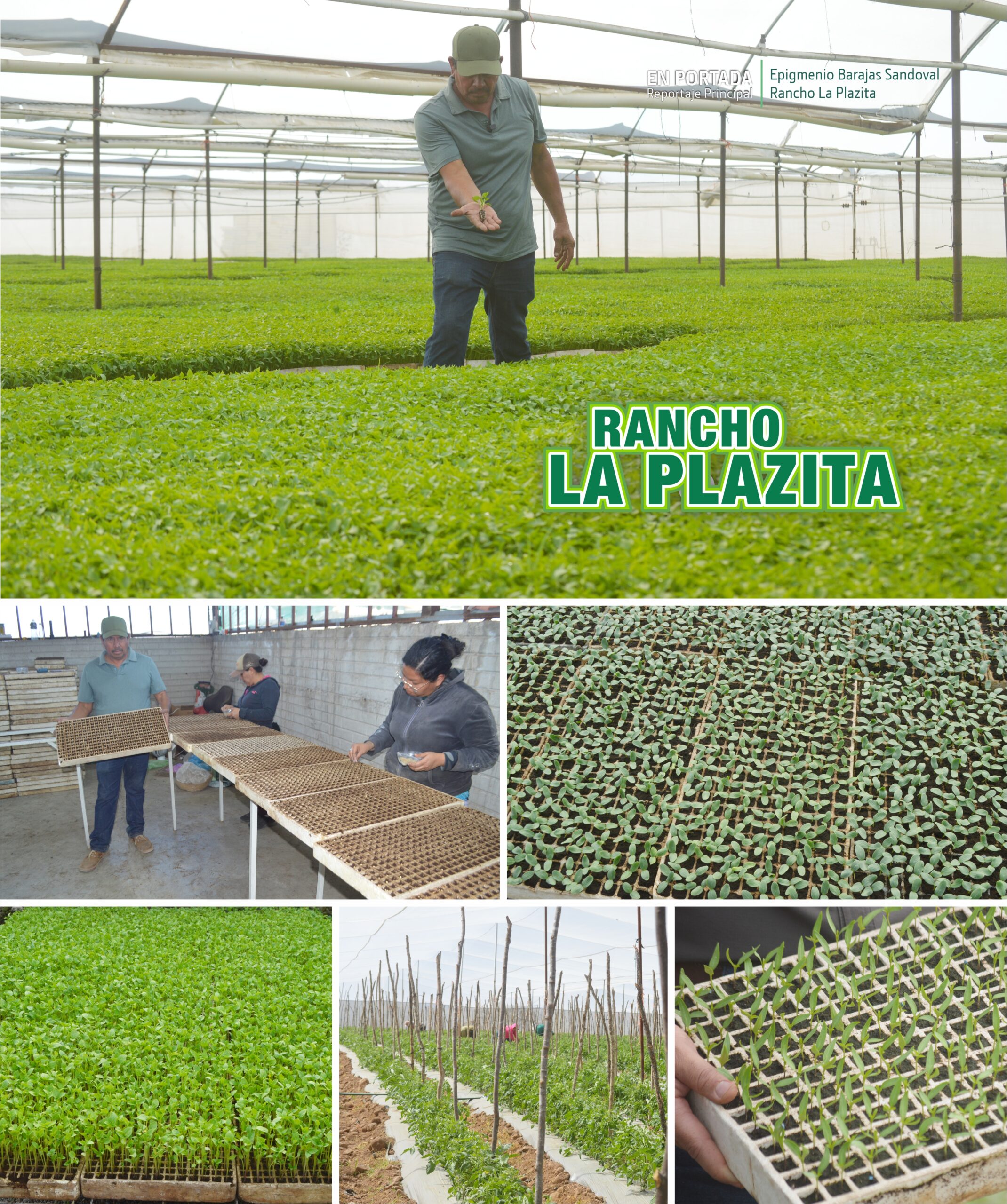 El Despertar del Campo