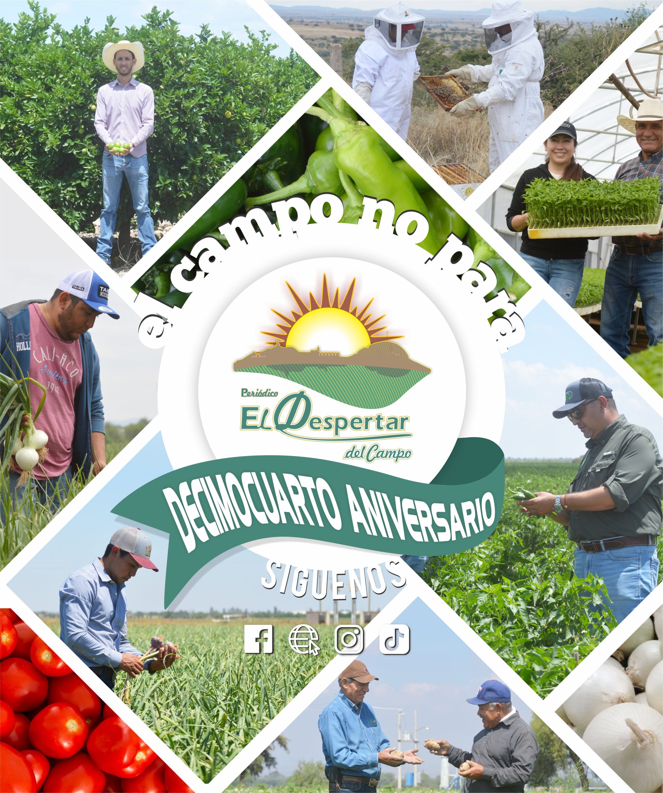 El Despertar del Campo