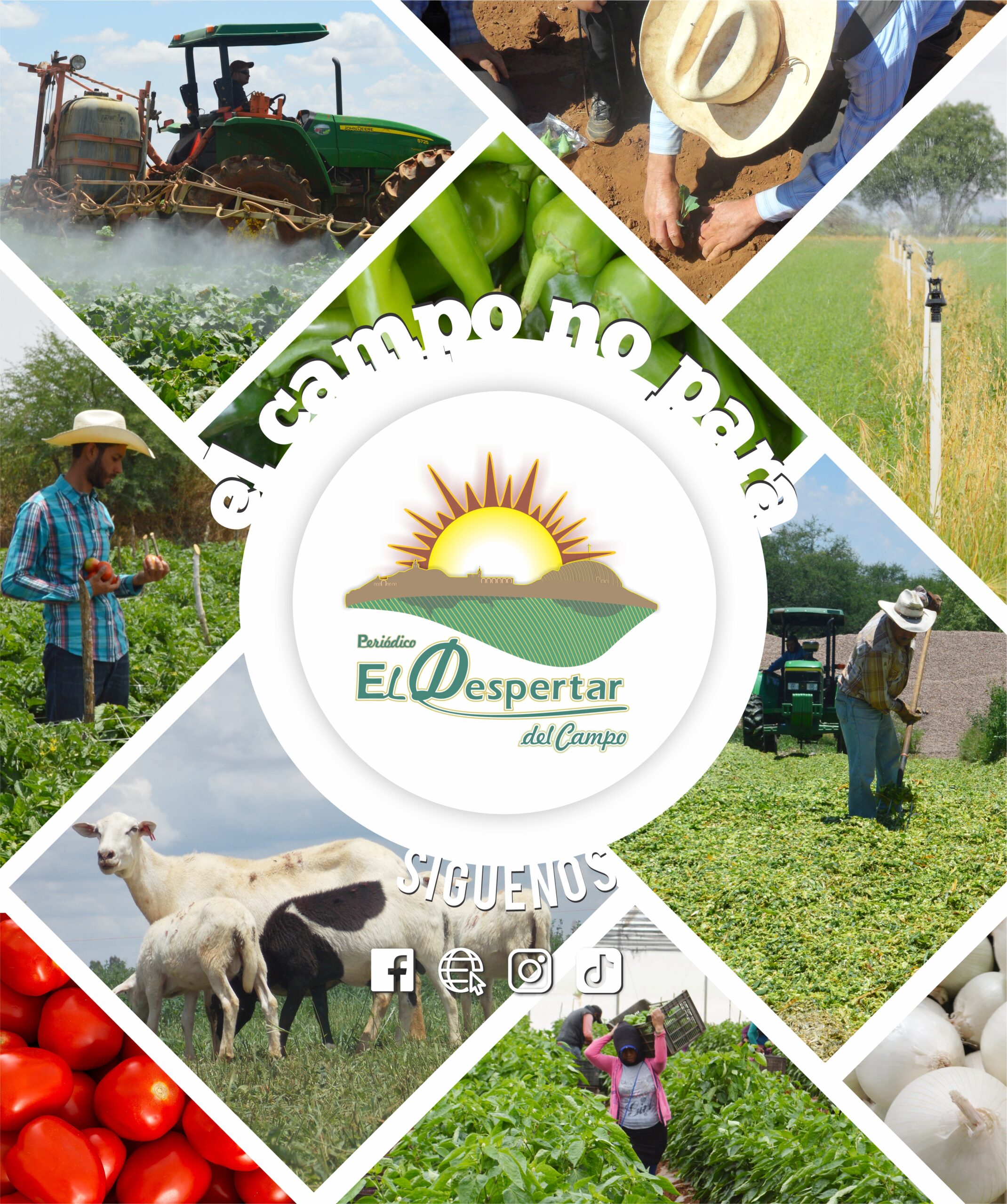 El Despertar del Campo