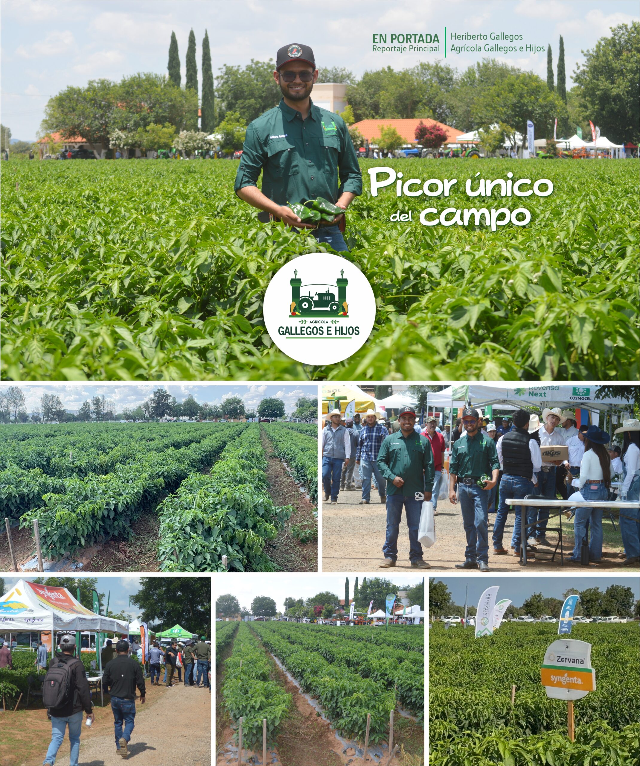 El Despertar del Campo