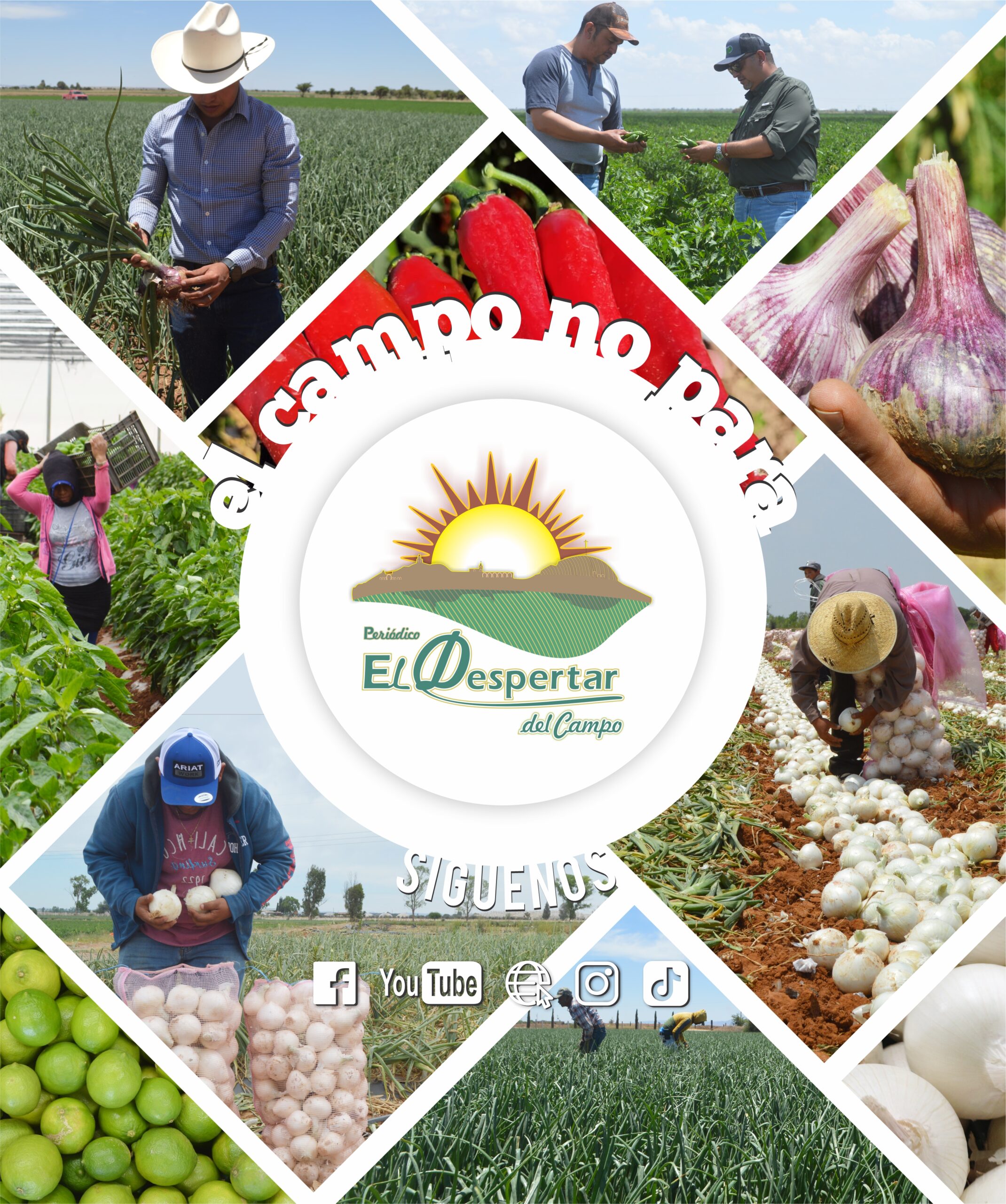 El Despertar del Campo