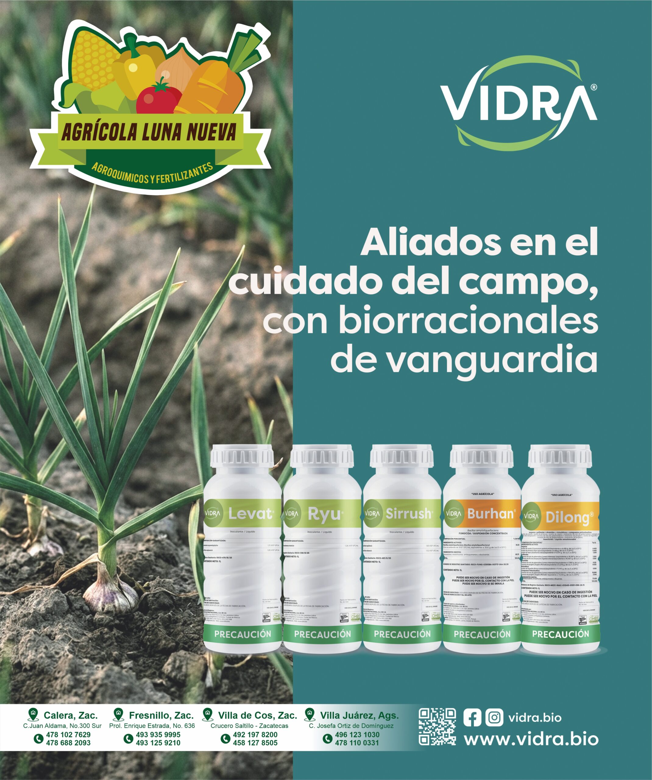 Vidra
